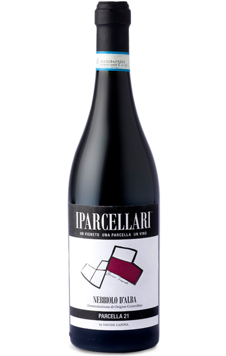 Vino 7