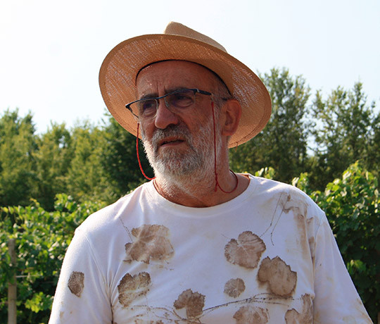 maurizio-gily.jpg